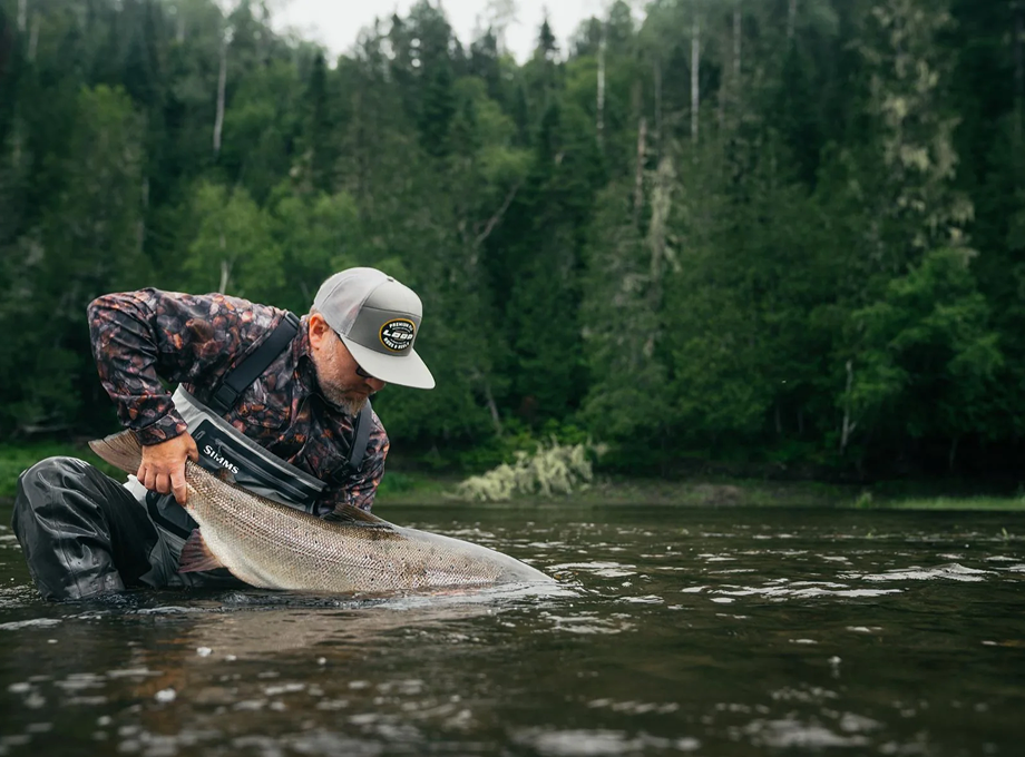 The Awe-Inspiring Odyssey of the Salmon